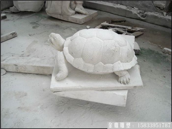 石雕龍龜