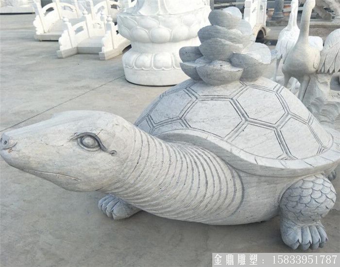 石雕龜7