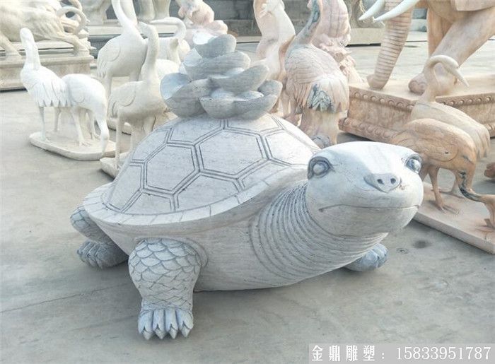 石雕龜6