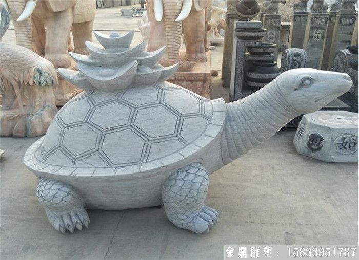石雕龜4